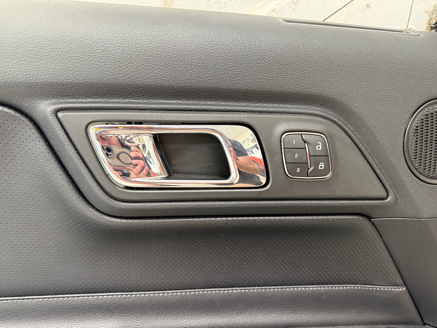 2015-2017 Ford Mustang GT V6 EcoBoost LH RH Leather Insert Door Panels Pair