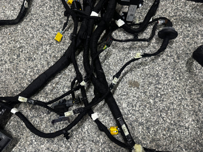 2024-2026 Ford Mustang GT Coupe Body Wiring OEM PR3T-14A005-CGLB