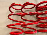 2015-2023 Ford Mustang GT BMR Suspension Lowering Springs SP081 SP082