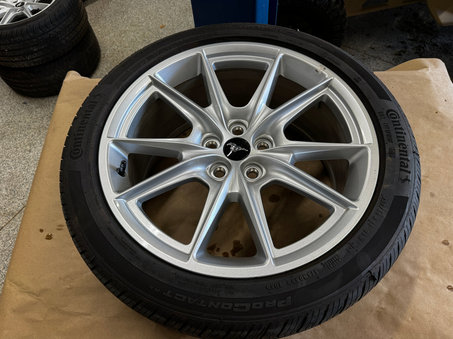 2024-2026 Ford Mustang GT 5.0 19x8.5" Wheel Rim Continental 255/40/19 - OEM
