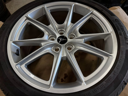 2024-2026 Ford Mustang GT 5.0 19x8.5" Wheel Rim Continental 255/40/19 - OEM