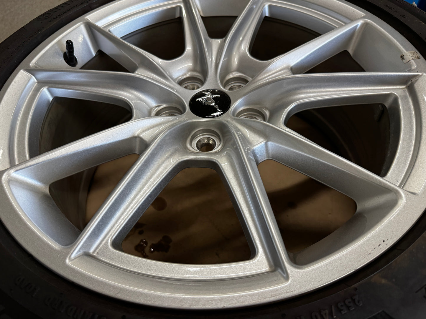 2024-2026 Ford Mustang GT 5.0 19x8.5" Wheel Rim Continental 255/40/19 - OEM