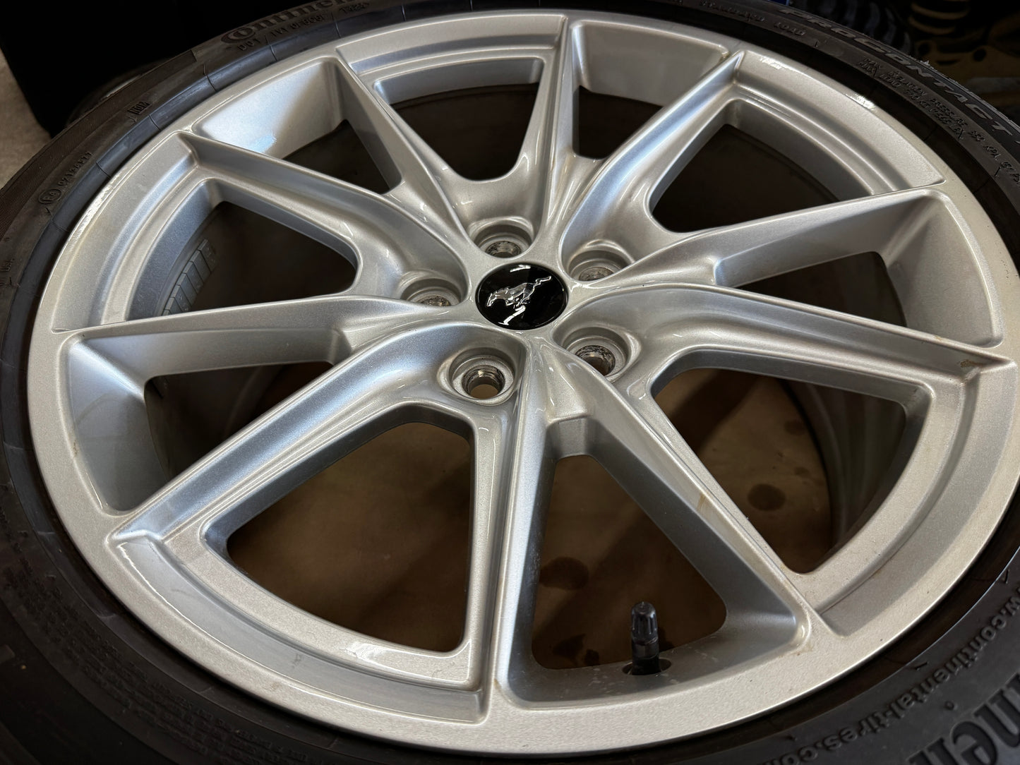 2024-2026 Ford Mustang GT 5.0 19x8.5" Wheel Rim Continental 255/40/19 - OEM