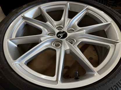 2024-2026 Ford Mustang GT 5.0 19x8.5" Wheel Rim Continental 255/40/19 - OEM