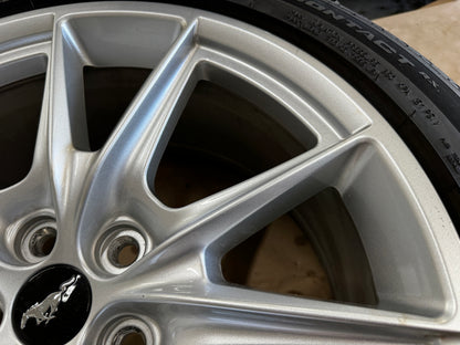 2024-2026 Ford Mustang GT 5.0 19x8.5" Wheel Rim Continental 255/40/19 - OEM
