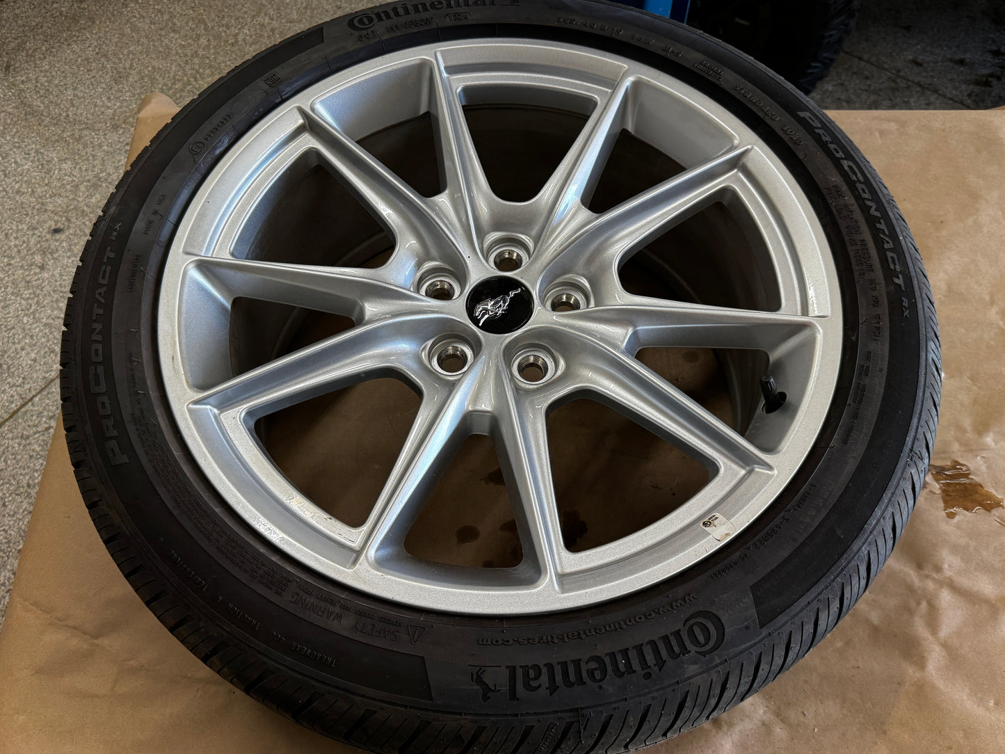 2024-2026 Ford Mustang GT 5.0 19x8.5" Wheel Rim Continental 255/40/19 - OEM