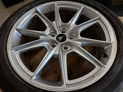 2024-2026 Ford Mustang GT 5.0 19x8.5" Wheel Rim Continental 255/40/19 - OEM