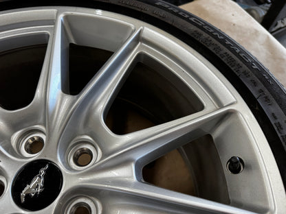 2024-2026 Ford Mustang GT 5.0 19x8.5" Wheel Rim Continental 255/40/19 - OEM