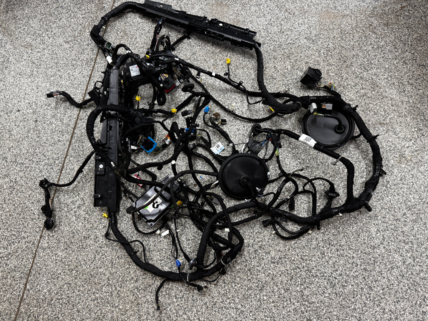 2024-2026 Ford Mustang GT Coupe Body Wiring "PR3T-14A005-CGLB