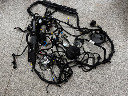2024-2026 Ford Mustang GT Coupe Body Wiring "PR3T-14A005-CGLB