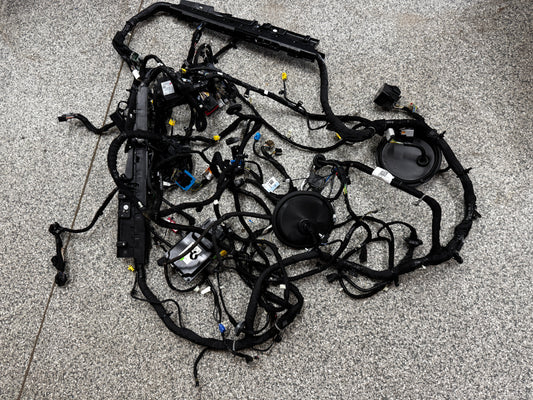 2024-2026 Ford Mustang GT Coupe Body Wiring "PR3T-14A005-CGLB
