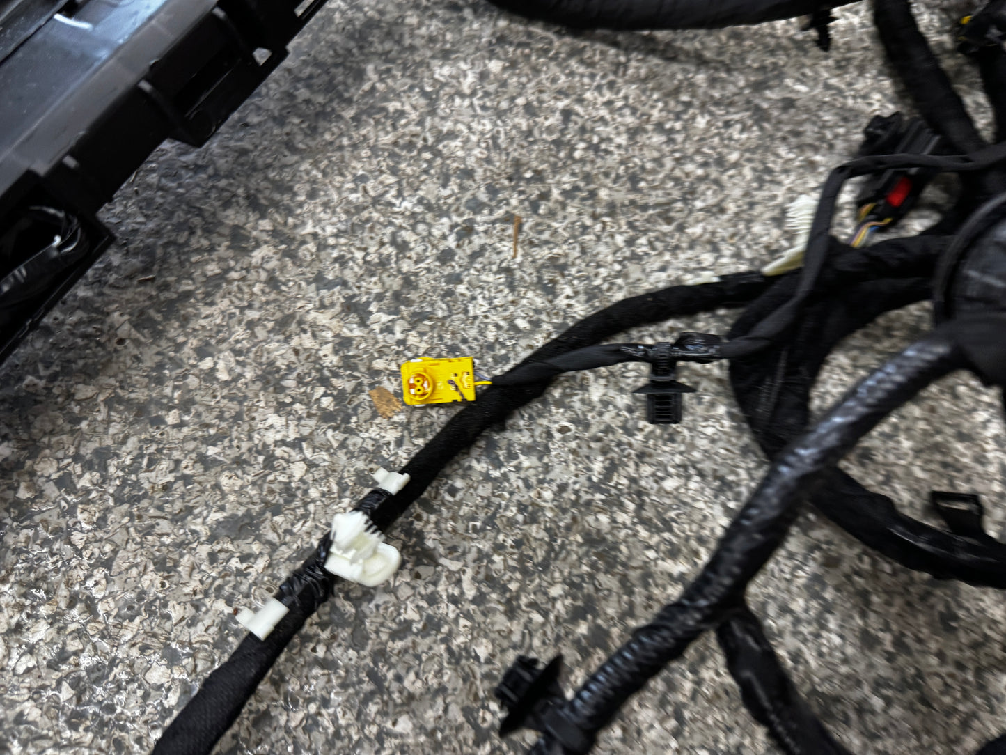 2024-2026 Ford Mustang GT Coupe Body Wiring "PR3T-14A005-CGLB