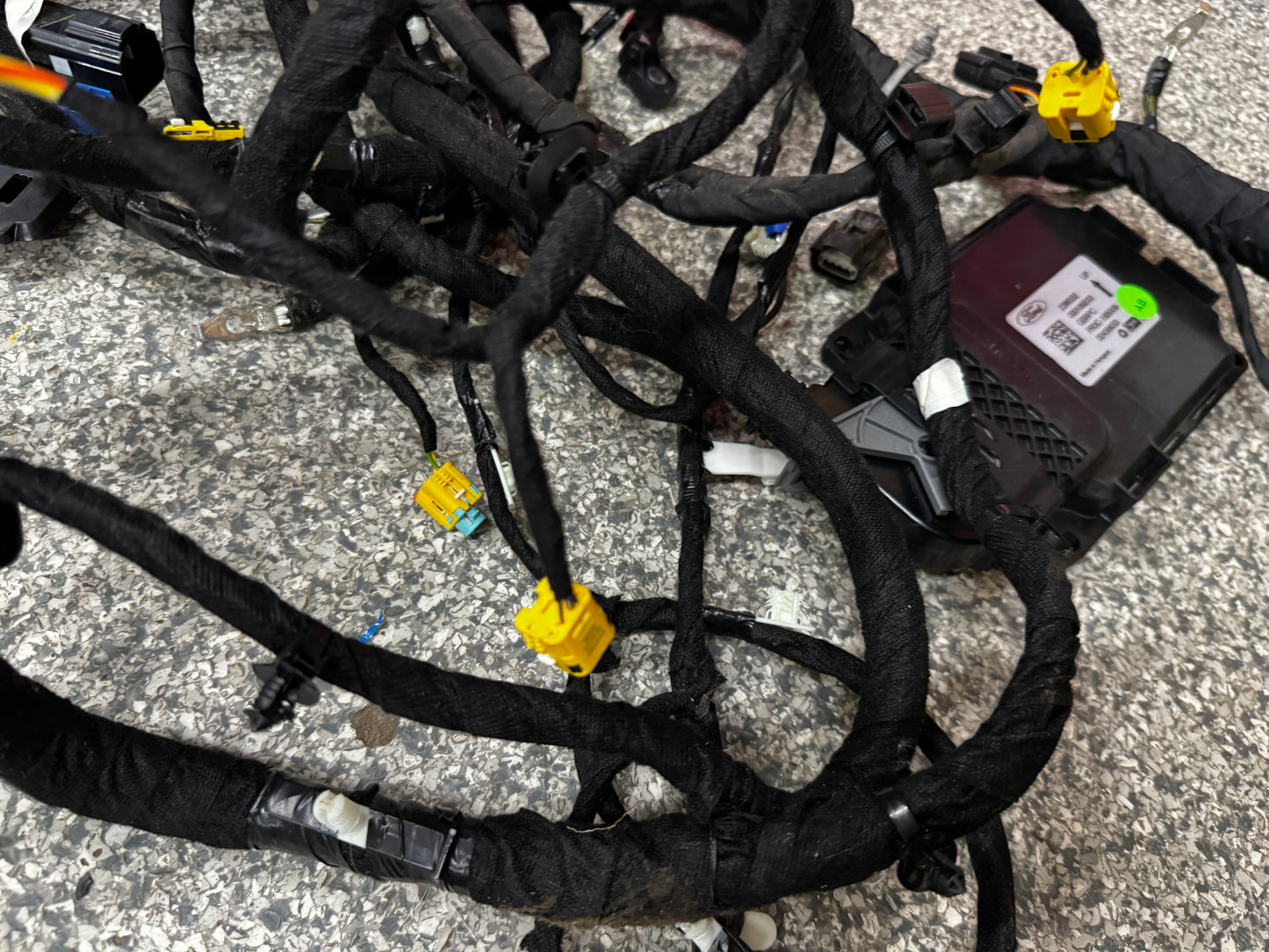 2024-2026 Ford Mustang GT Coupe Body Wiring "PR3T-14A005-CGLB
