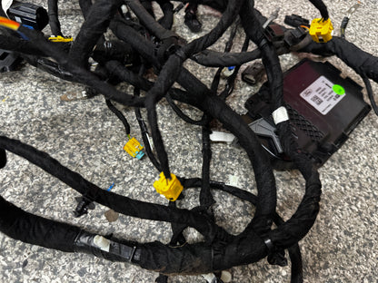 2024-2026 Ford Mustang GT Coupe Body Wiring "PR3T-14A005-CGLB