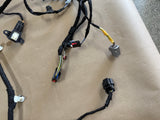 2023-2025 F-250 Supercrew RH Passenger Front Door Wiring PC3T - 14630 - AF