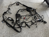 2018-2023 Ford Mustang GT Body Wiring Harness Coupe MR3T-14A005-ASF