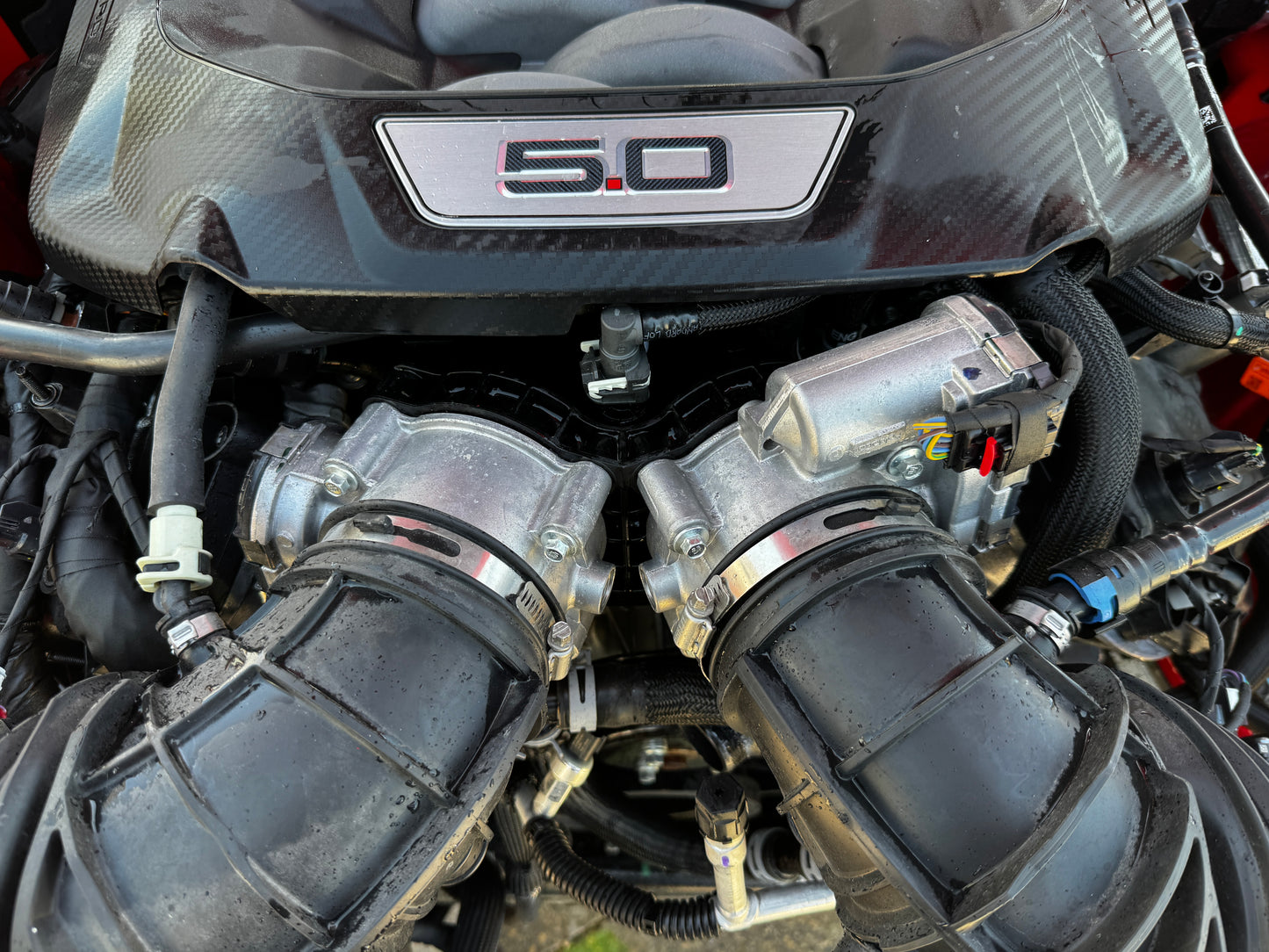 2025 Mustang 5.0 Coyote Gen 4 Engine Drivetrain 10R80Transmission 650 13k Miles