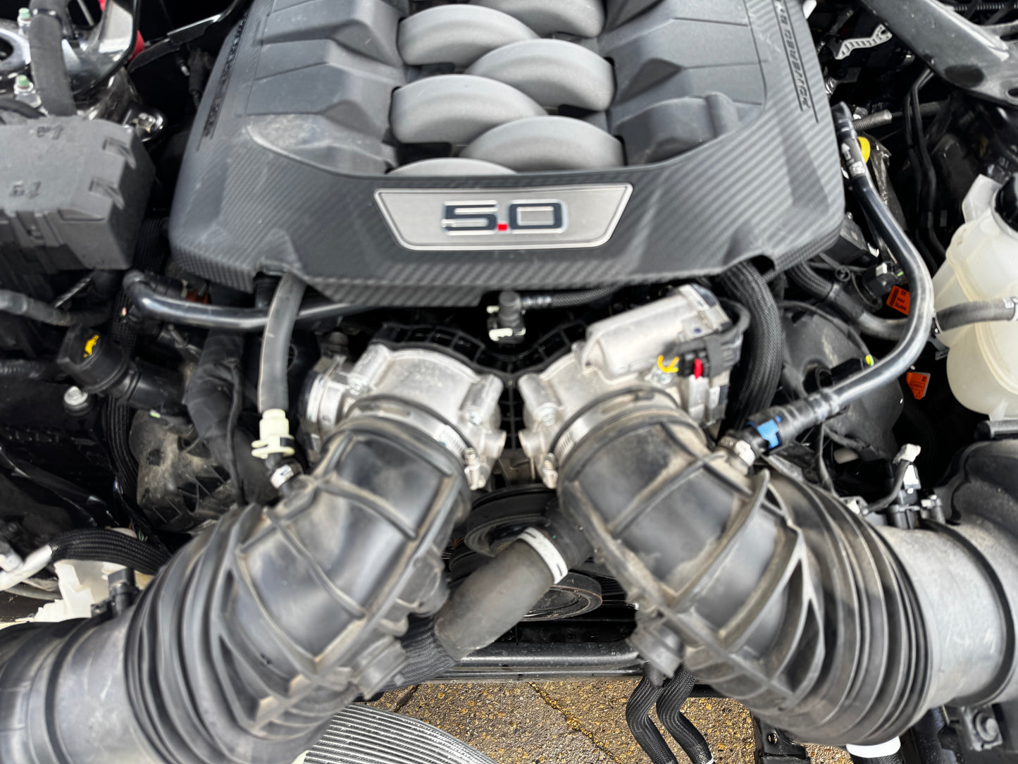 2024 Mustang 5.0 Coyote Dark Horse Gen 4 Engine Drivetrain TR-3160 Manual 11k Mi