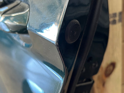 2015-2021 Ford Mustang GT GT500 LH Driver Side Door Complete w/Glass Green B5
