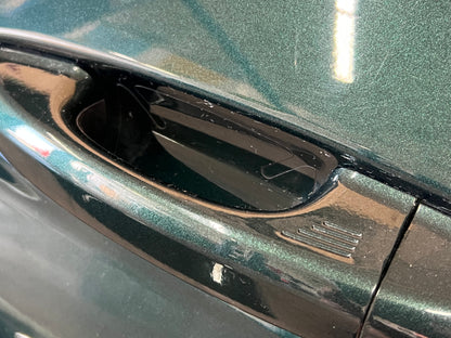 2015-2021 Ford Mustang GT GT500 LH Driver Side Door Complete w/Glass Green B5