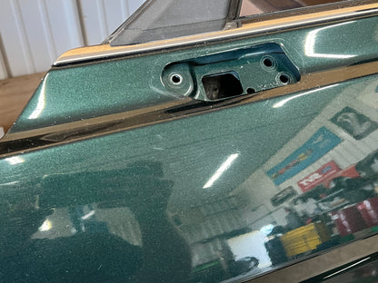 2015-2021 Ford Mustang GT GT500 LH Driver Side Door Complete w/Glass Green B5